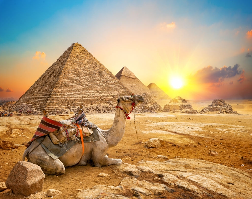 enjoy egypt tours